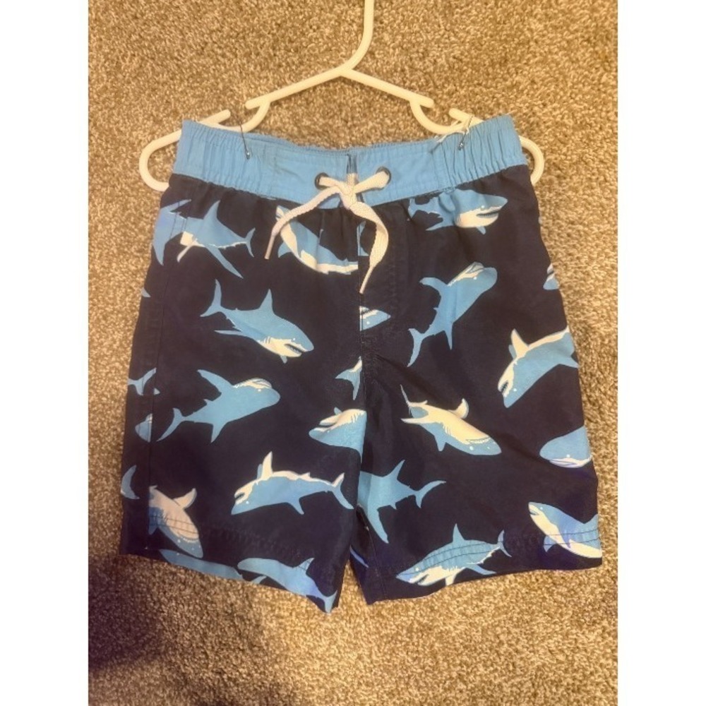 Hanna Andersson 3T Swim trunks